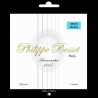 Gypsy jazz guitar set  Ball end  10-45 normal tension