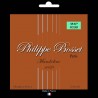 Mandoline set  Phosphorus-bronze Light