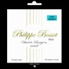 Baryton ukulele Titane nylon set