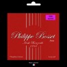 Irish Bouzouki 12-44 Loop end
